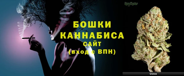 хмурый Липки
