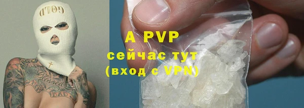 хмурый Липки