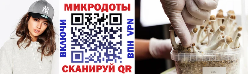 Галлюциногенные грибы Magic Shrooms  Купить  Железноводск 
